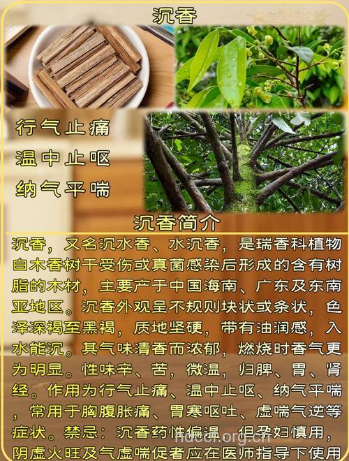 沉香泡水喝的禁忌