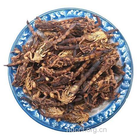 梧桐子泡酒喝的禁忌