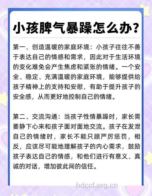 如何进行躁狂症的家庭治疗