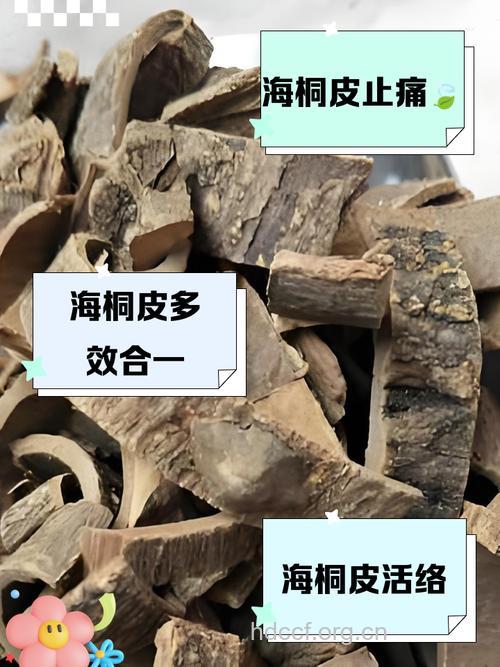 海桐皮泡水喝的禁忌