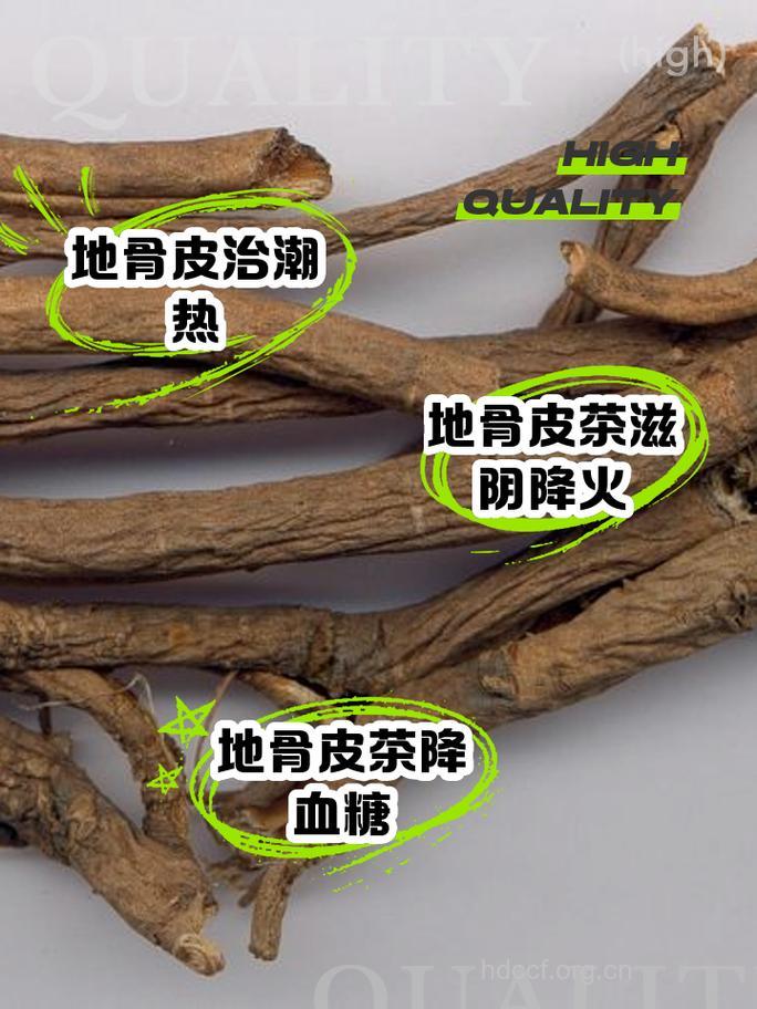 地骨皮泡水喝的功效
