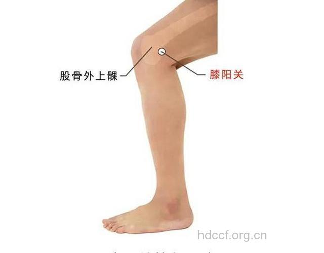 晚上常按这处可以防止膝关节炎