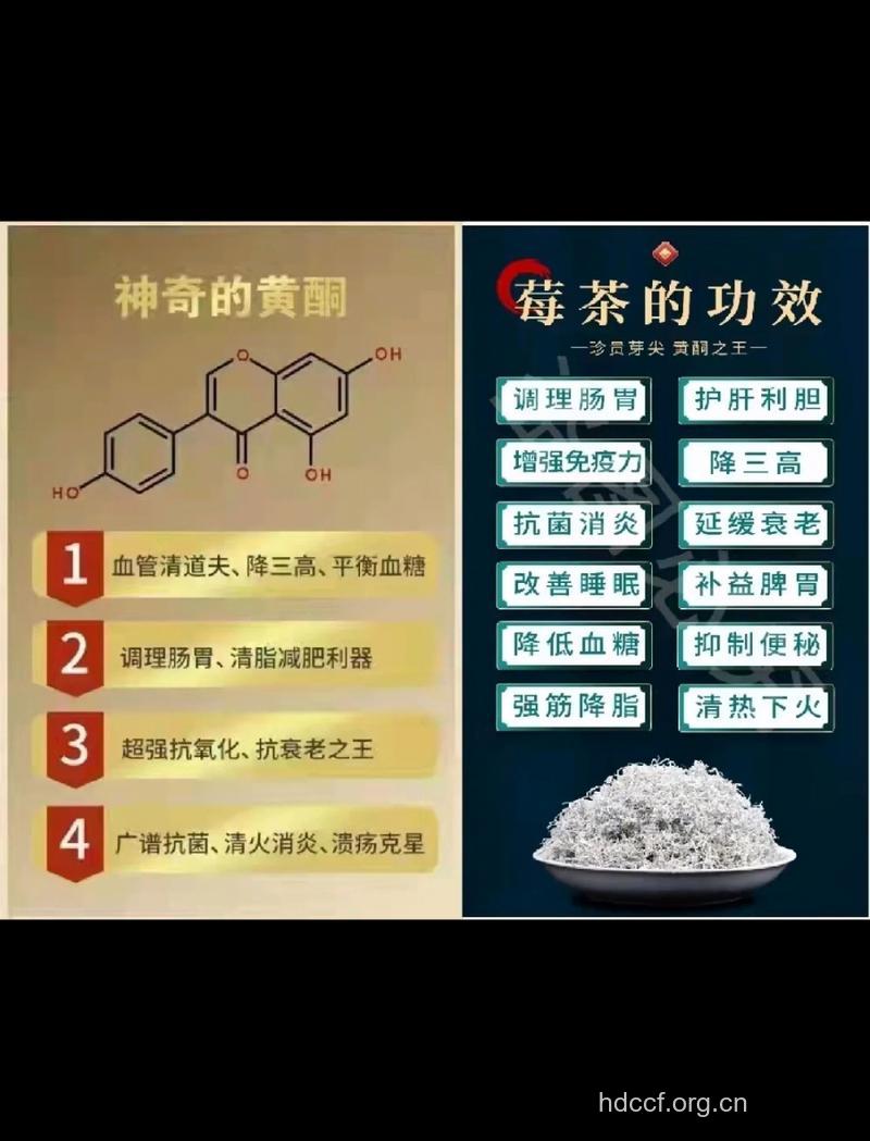 蛇葡萄泡水喝的功效