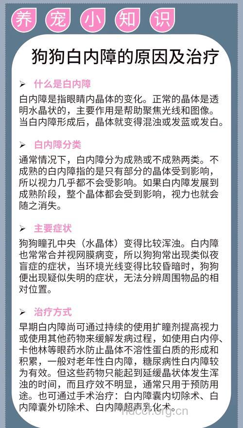 白内障怎么诊断治疗