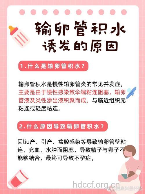 为什么会出现输卵管积液不孕