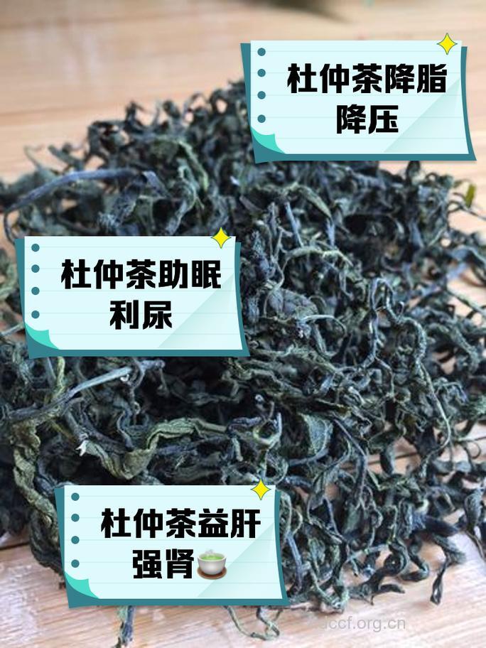 杜仲叶泡水喝的功效