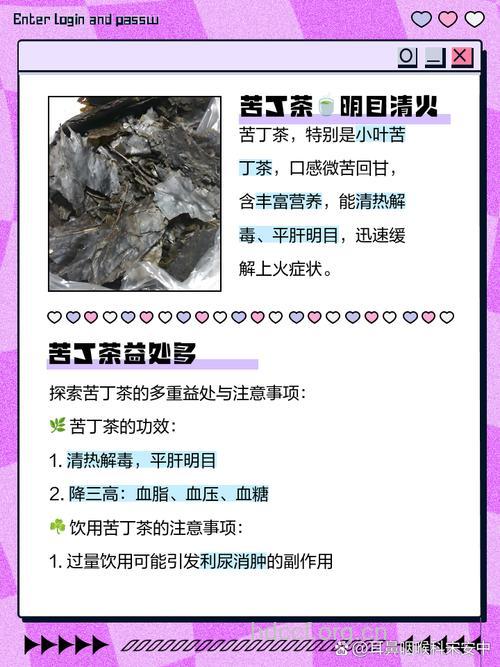 苦丁茶泡水喝的禁忌