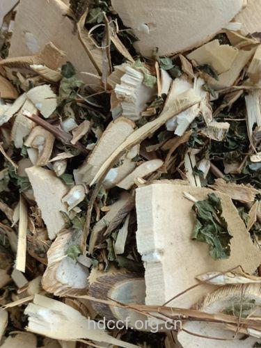 赶风柴泡水喝的功效