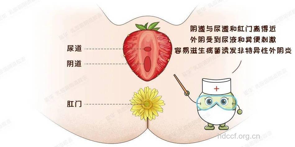 外阴阴道性不孕有哪些临床表现