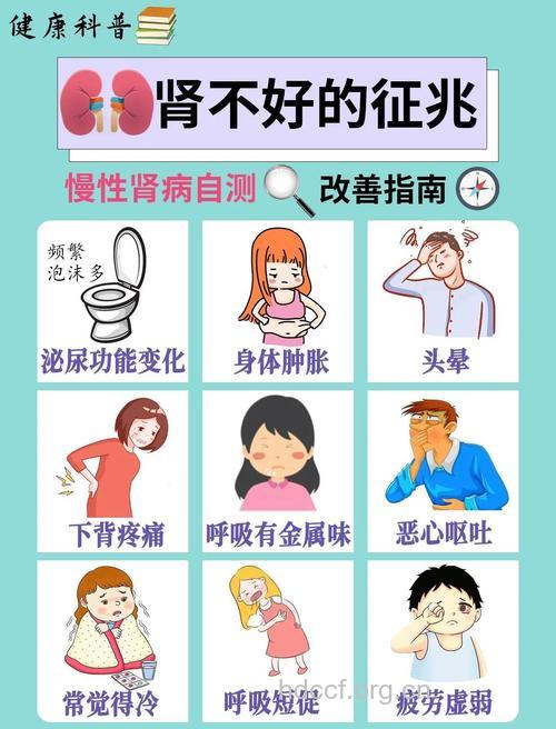 4个信号提醒你肾脏不好