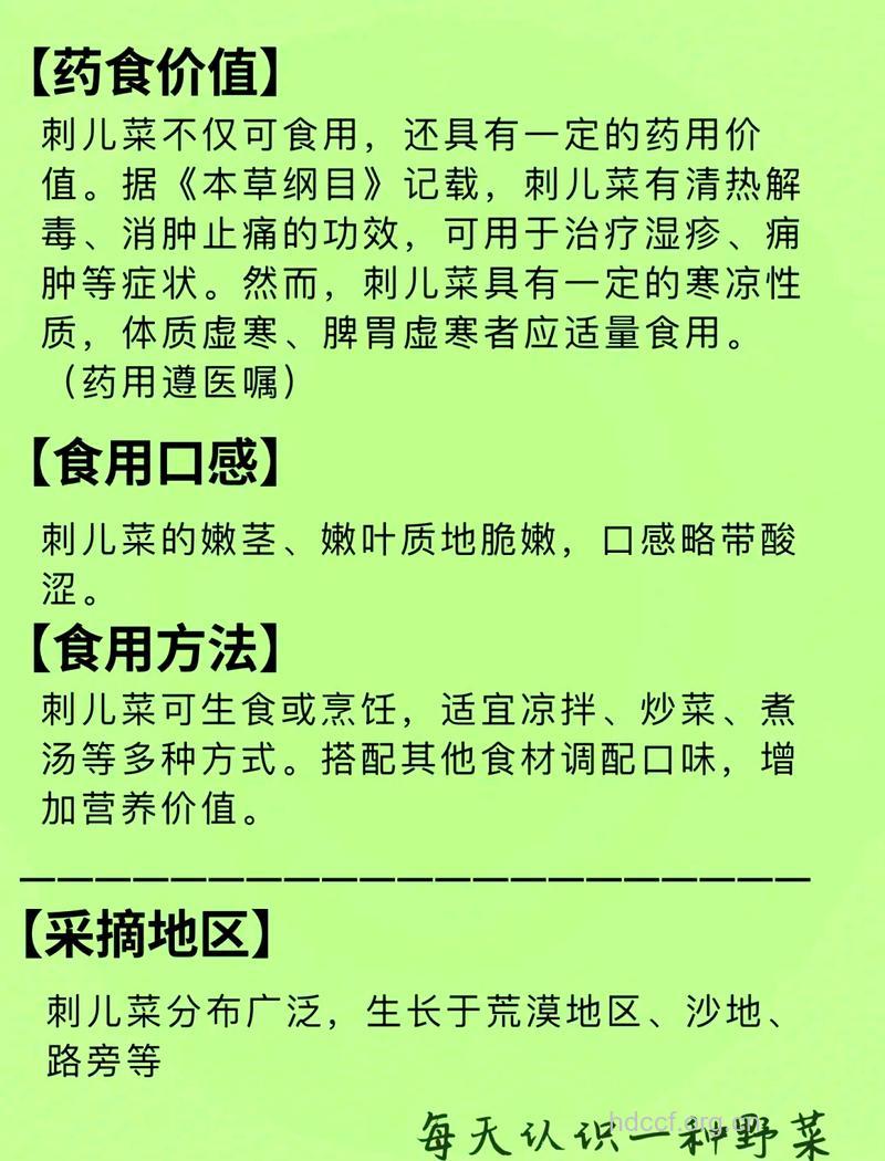 刺儿菜孕妇可以吃吗 孕妇的饮食禁忌有哪些