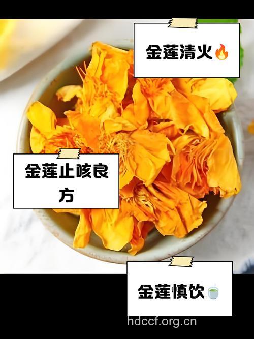 金莲花泡水喝的禁忌