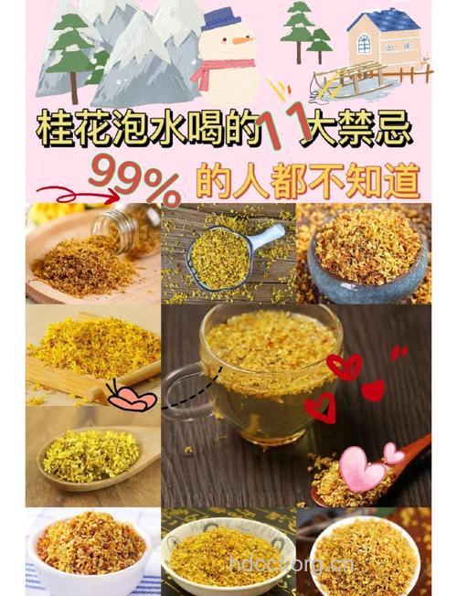 桂花泡水喝的禁忌