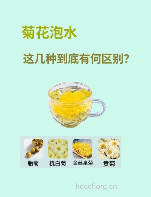 野菊花泡水喝的功效