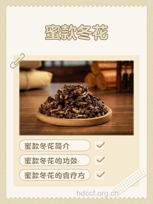款冬花泡水喝的禁忌