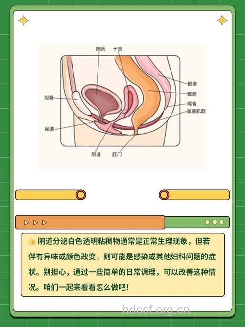 女性怎么进行阴道分泌物检查方法