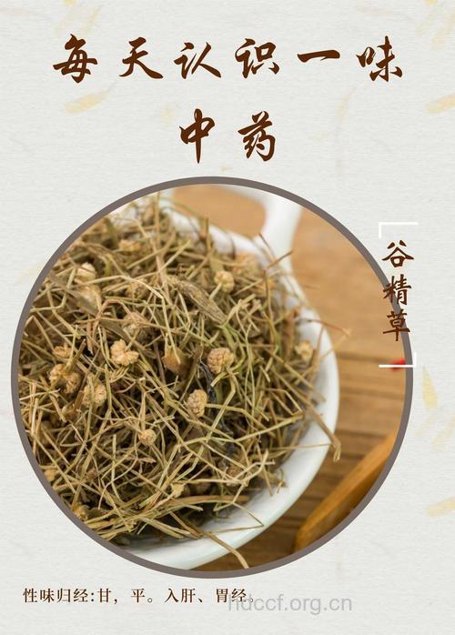 谷精草泡水喝的禁忌