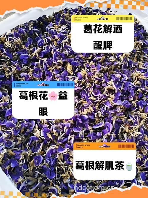 葛花泡水喝的禁忌