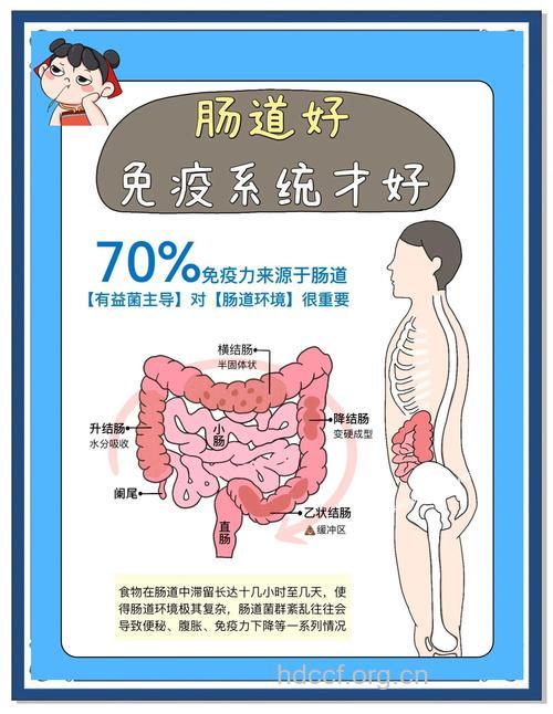 自闭 免疫和胃肠的相互作用