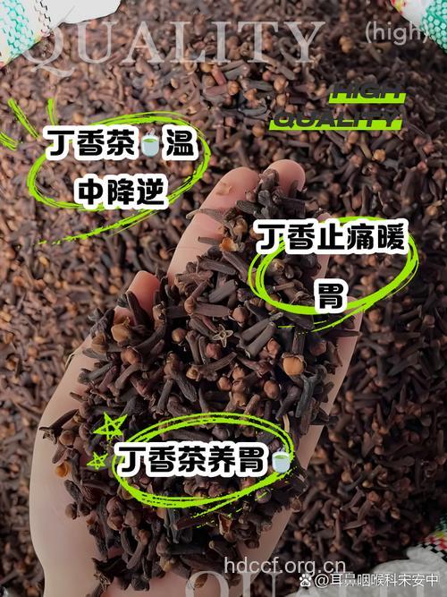 丁香泡水喝的功效