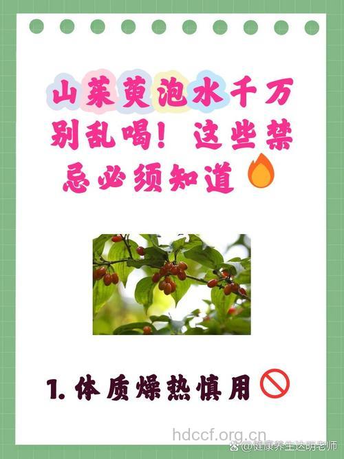 山茱萸泡水喝的禁忌