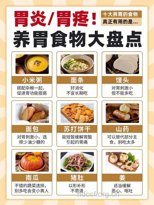 上班族胃不好不用怕 这七种食物能养胃