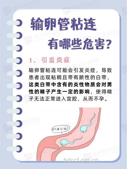 哪些原因导致输卵管粘连