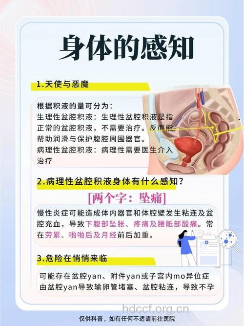 女性朋友怎么治疗盆腔积液方法