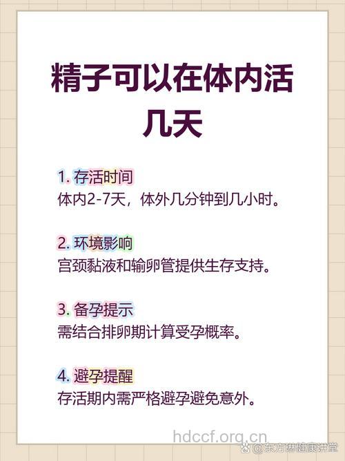 精子在女性体内存活多久
