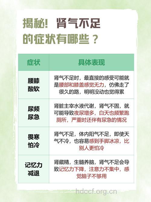 肾气不足会有哪些症状 男人女人各不同