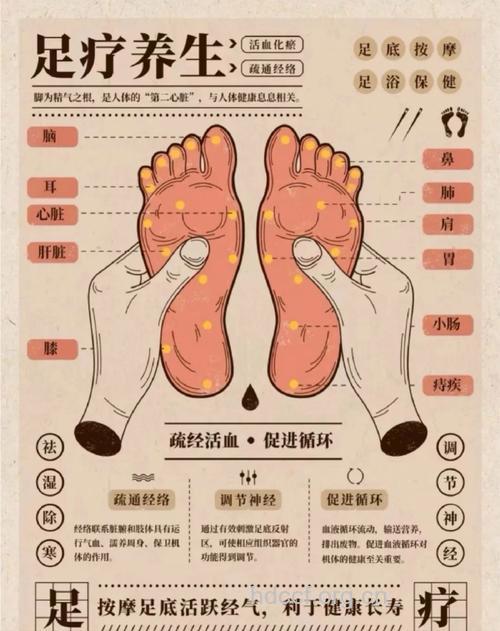 脚底穴位按摩助力老年人长寿又健康