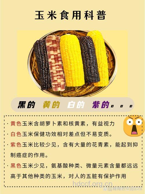 吃黄玉米预防老年性白内障