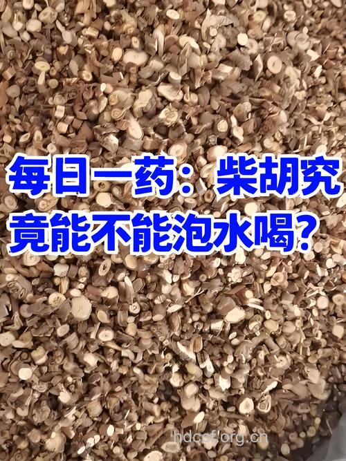 柴胡泡水喝的禁忌