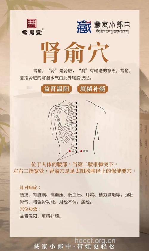肾气不足按什么穴位 这些穴位不能少
