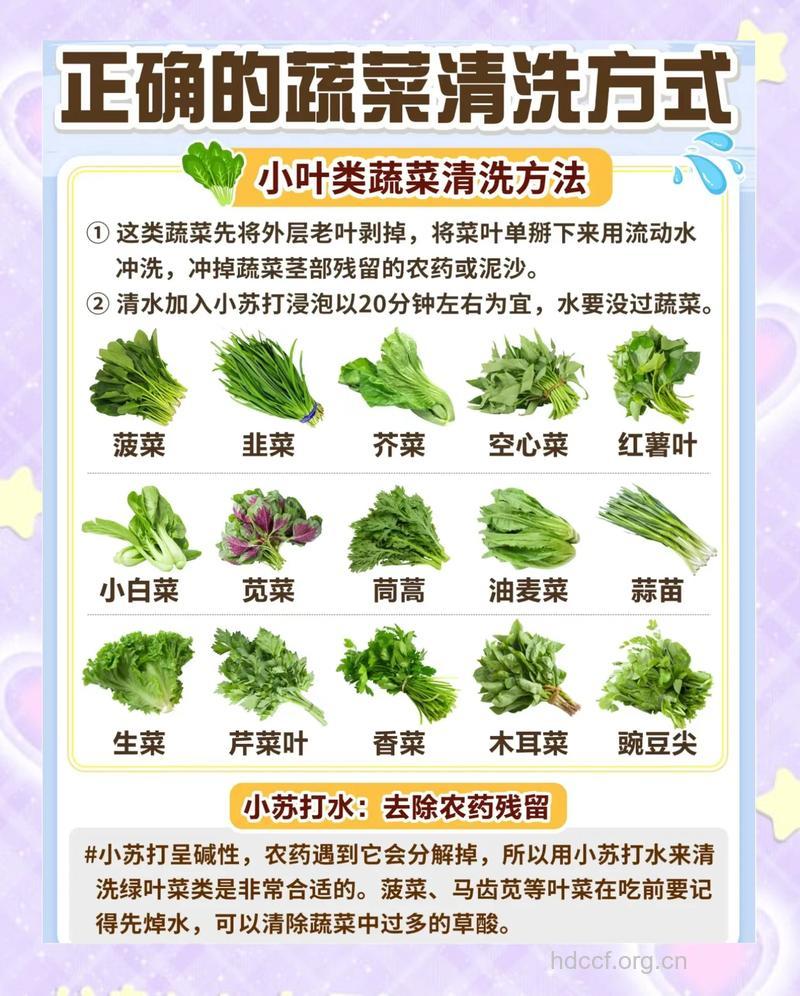 蔬菜怎么洗才干净 这样洗才最正确