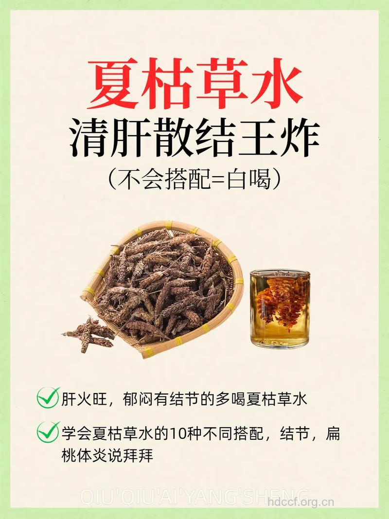 夏枯草泡水喝的禁忌有哪些