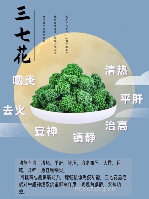 三七花泡水喝的禁忌