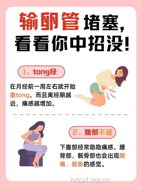 小心输卵管异常阻挡了你的“孕”气