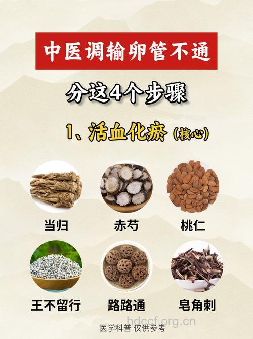 如何用中药治疗输卵管女性不孕