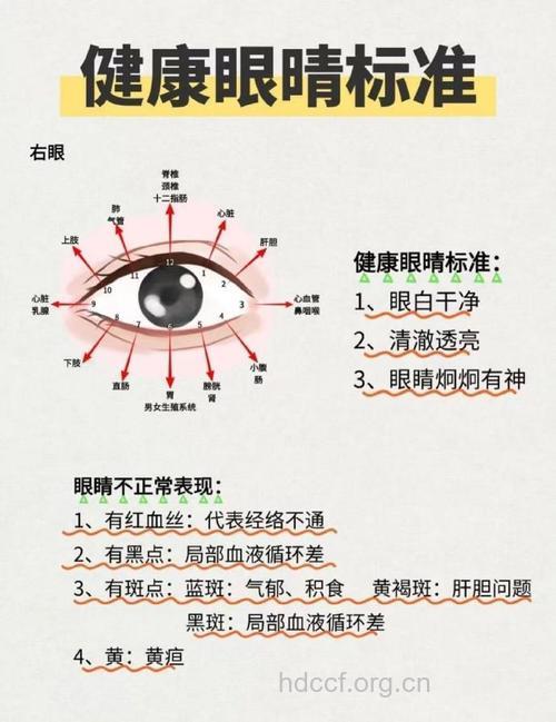 哪些情况眼睛需要就诊