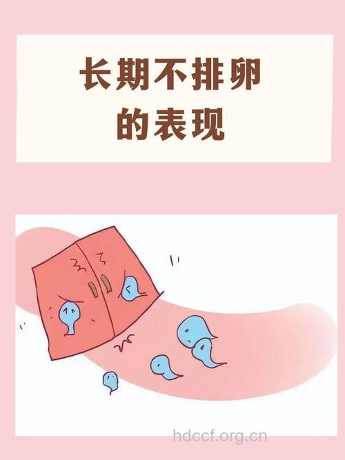 哪些表征表示女性不排卵