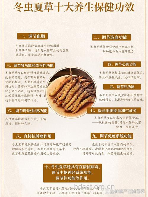 冬虫夏草泡水喝的功效