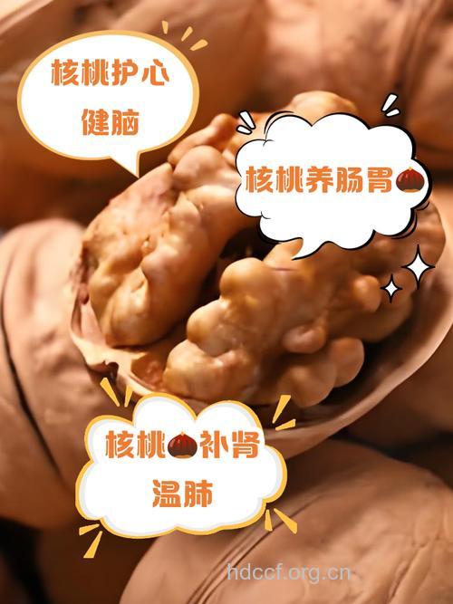 核桃不宜吃太多 孩子该如何补脑