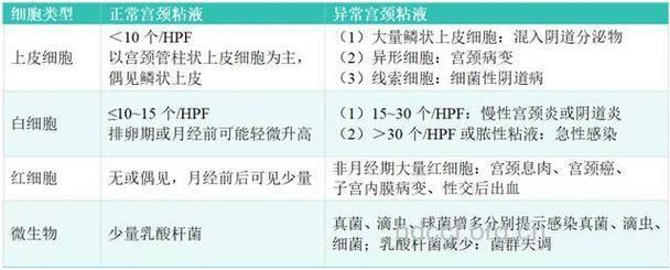 宫颈粘液检查的意义