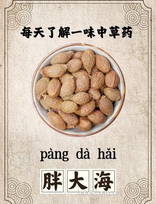 怎么用胖大海治疗红眼病方法