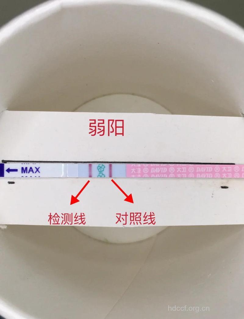 排卵试纸是否可靠