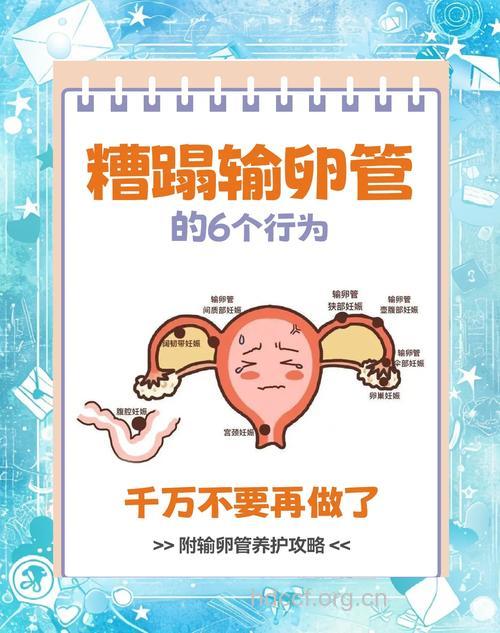 女性该如何保护好输卵管?