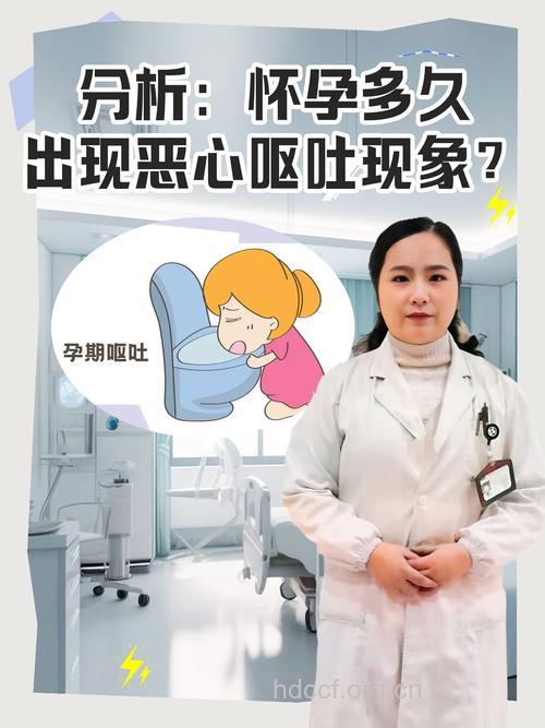 怀孕初期有恶心反应者成功生产率高