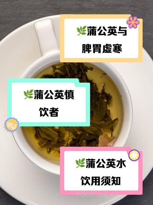 蒲公英花泡水喝的禁忌