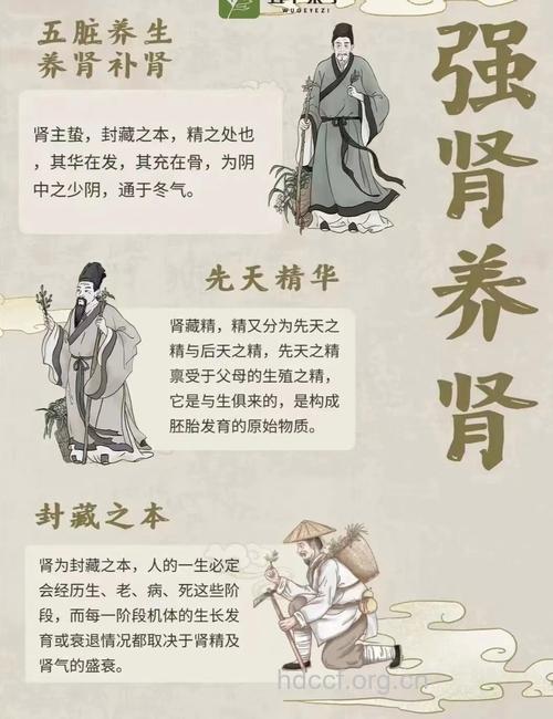 中医解惑为何白领容易不健康